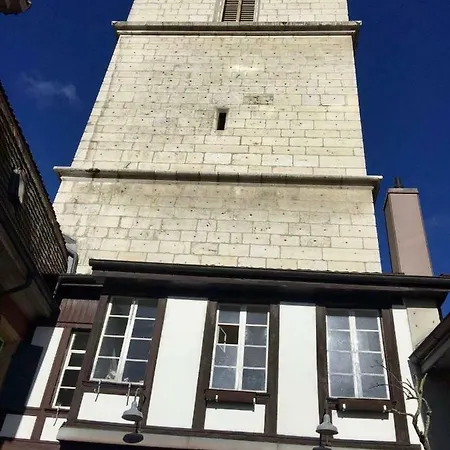 Atypique Ancien Du Faucon * La Neuveville
